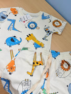 Conjunto lúdico animais