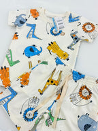 Conjunto lúdico animais