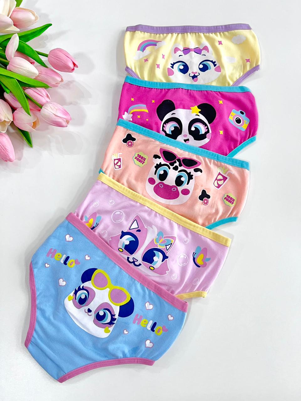 Kit com 5 calcinhas bichinhos